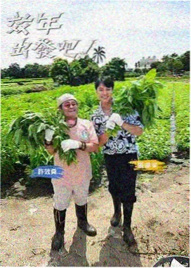 我家那小子